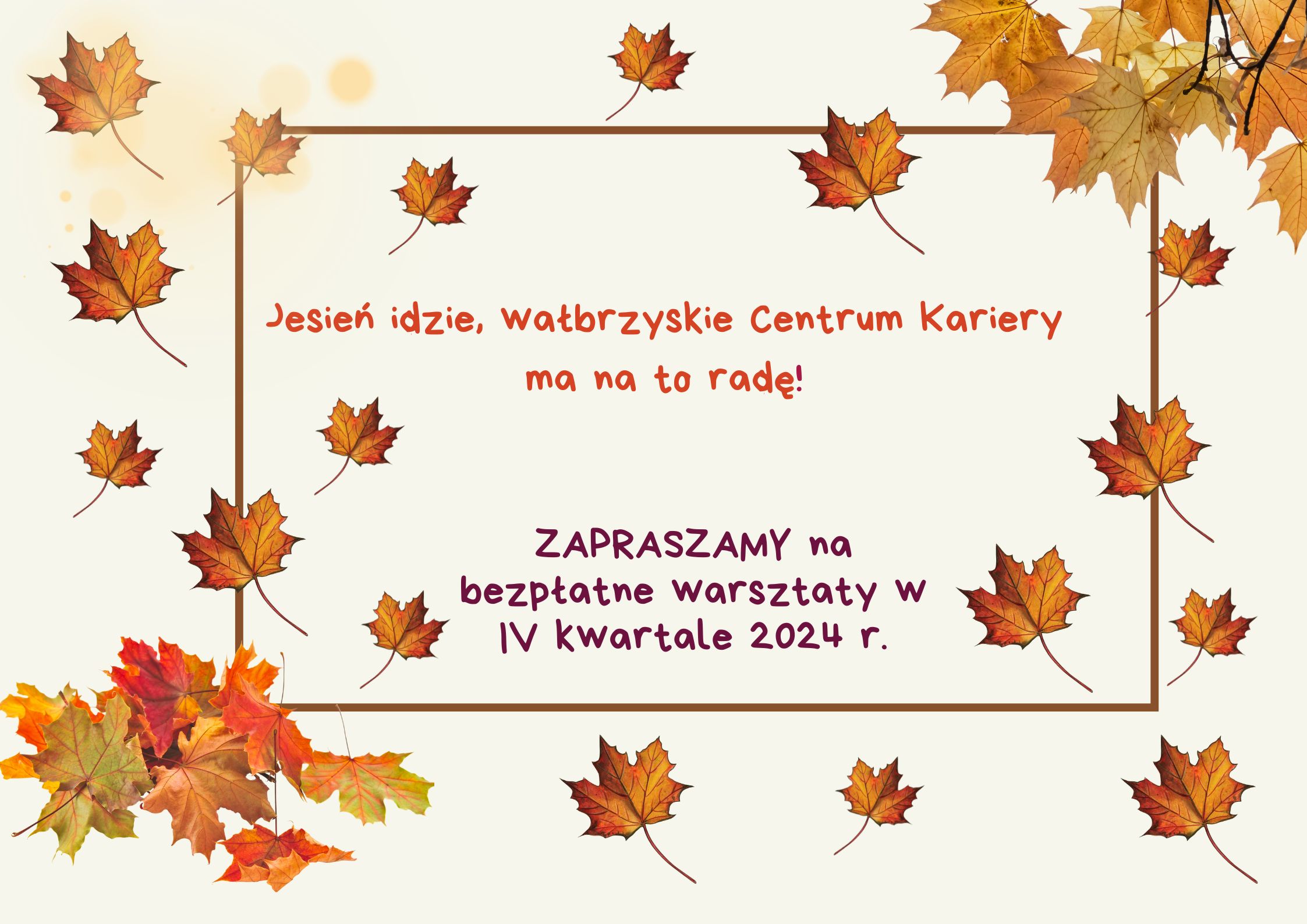 Zapraszamy na bezpłatne webinaria do Wałbrzycha